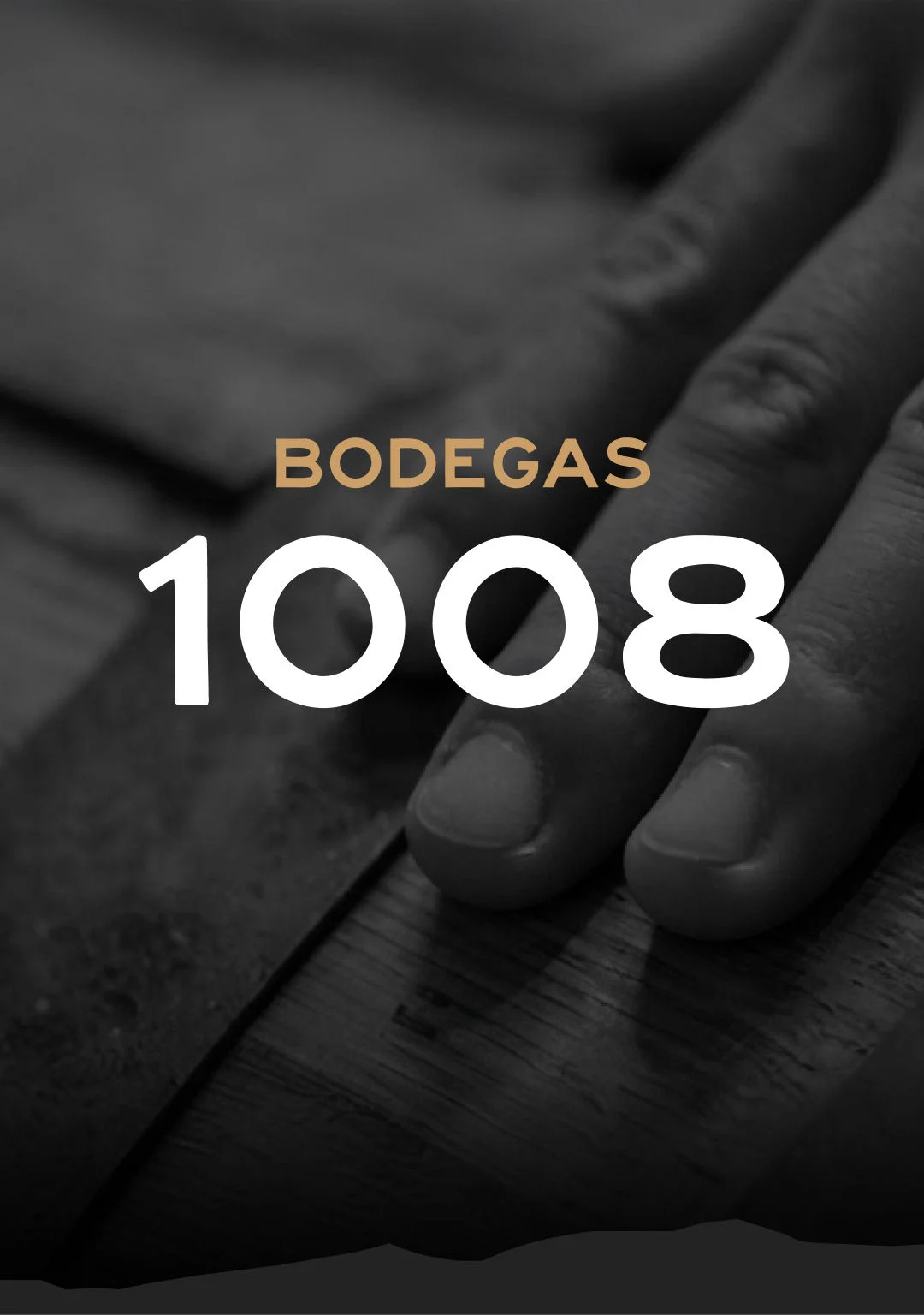 Cabecera Bodegas 1008