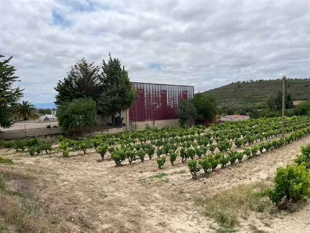 Bodega 1008