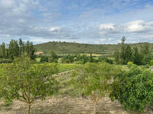Bodega 1008